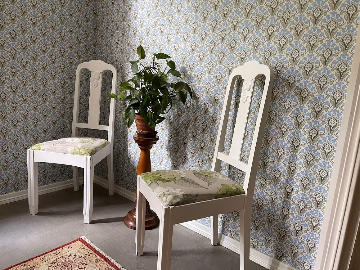 Huoneessa on kaksi valkoista tuolia, joiden istuimissa on kukallinen kuvio, sekä viherkasvi puujalustalla tapetoidun seinän edessä.